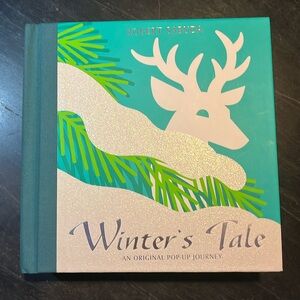 WINTER'S TALE Pop Up Children's Book EUC